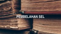 Pembelahan Sel