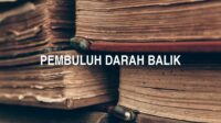 Pembuluh Darah Balik