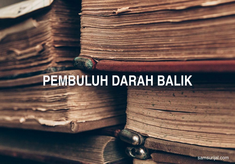 Arti Pembuluh Darah Balik