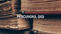 Pencungkil Gigi