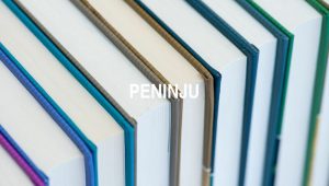 Peninju