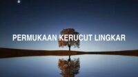 Permukaan Kerucut Lingkar