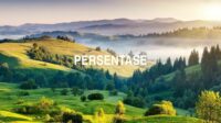 Persentase