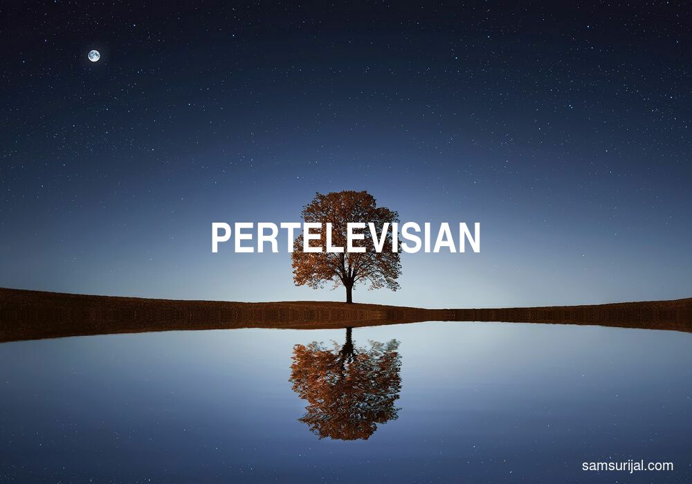 Arti Pertelevisian