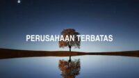 Perusahaan Terbatas