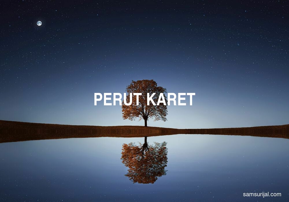 Arti Perut Karet