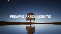 Pesawat Akronimobatik