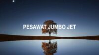 Pesawat Jumbo Jet