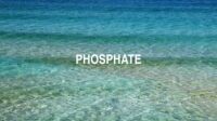 Phosphate