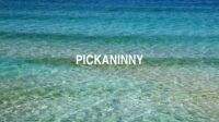 Pickaninny