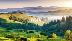 Arti Pista