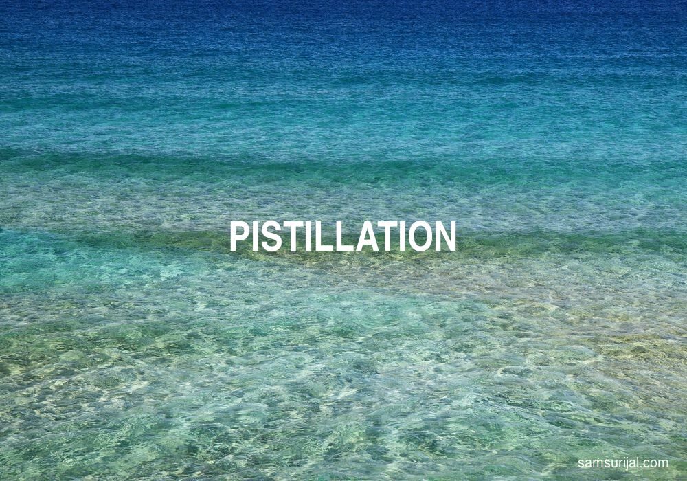 Arti Pistillation