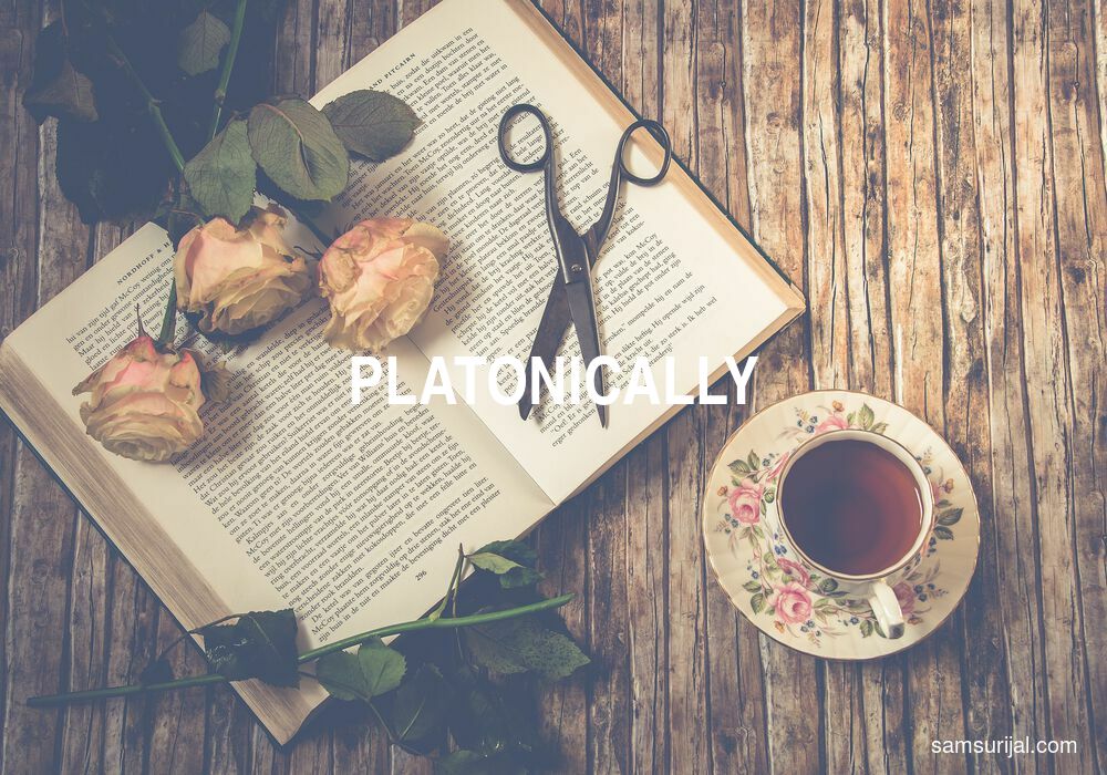 Arti Platonically