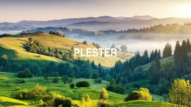 Arti Plester