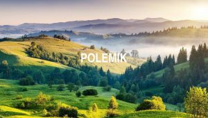 Polemik
