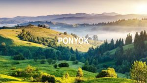 Ponyok