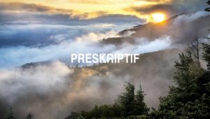 Arti Preskriptif