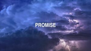 Arti Promise