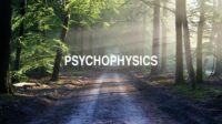 Psychophysics