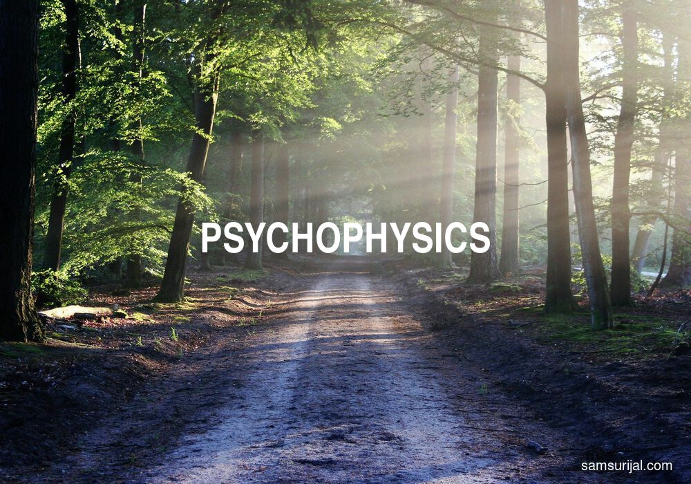 Arti Psychophysics