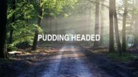 Pudding Headed