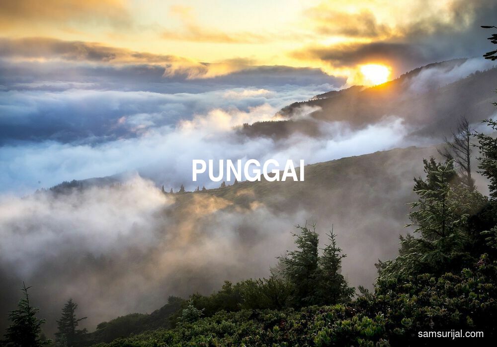 Arti Punggai