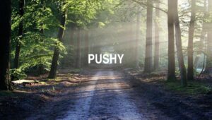 Arti Pushy