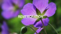 Rememoration