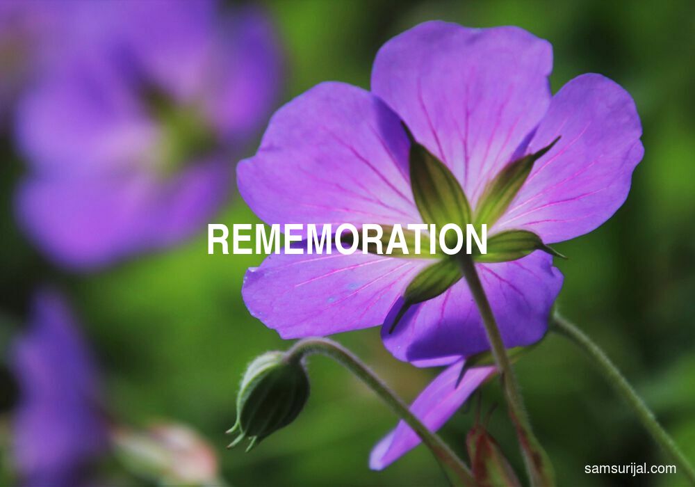 Arti Rememoration