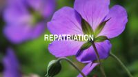 Repatriation