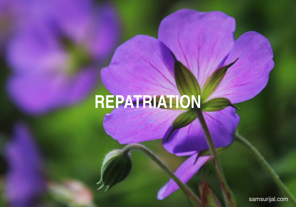 Arti Repatriation