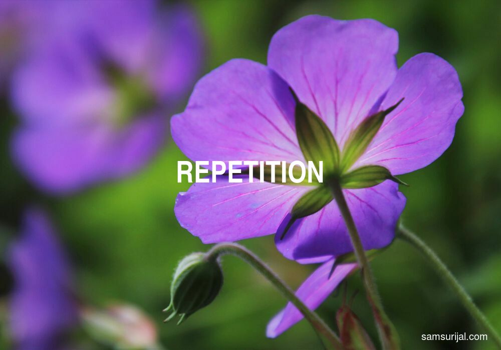 repetition-refresh