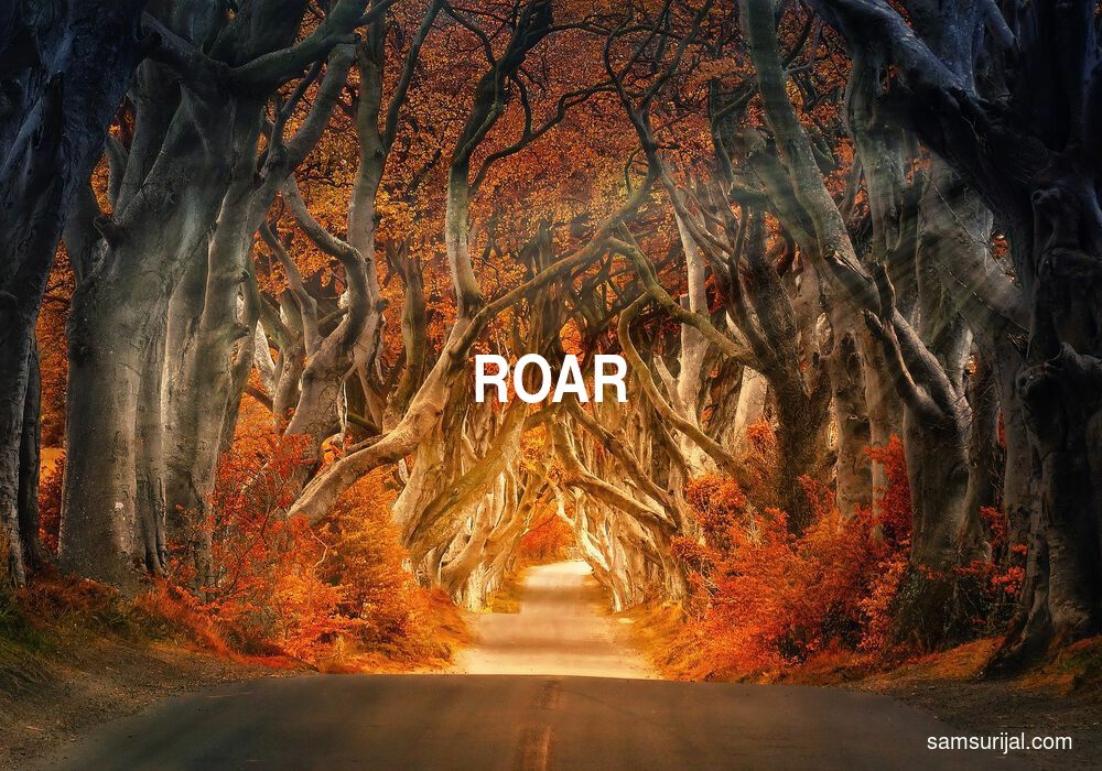 Arti Roar