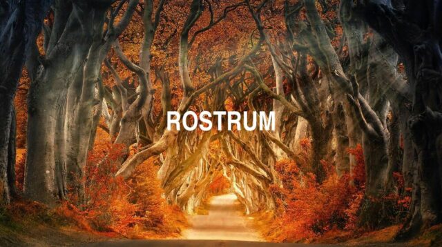 Arti Rostrum