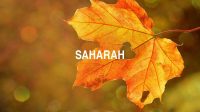Saharah