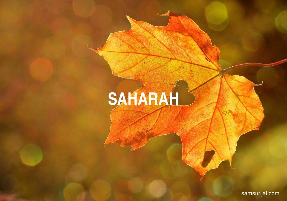 Arti Saharah