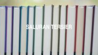 Saluran Tersier