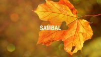 Sambal