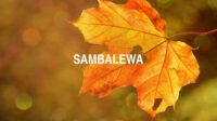 Sambalewa