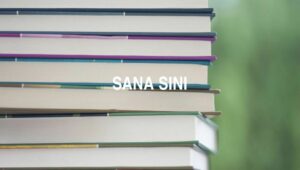 Arti Sana Sini