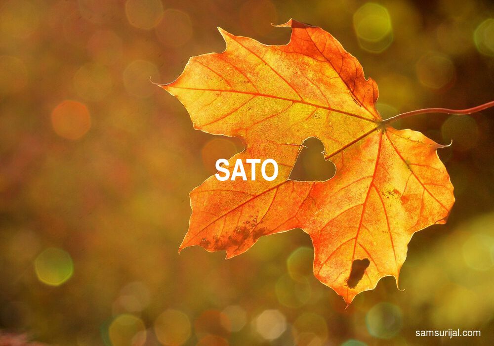Arti Sato