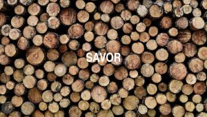 Arti Savor