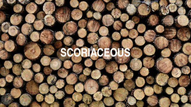 Arti Scoriaceous