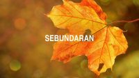 Sebundaran