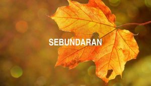 Arti Sebundaran