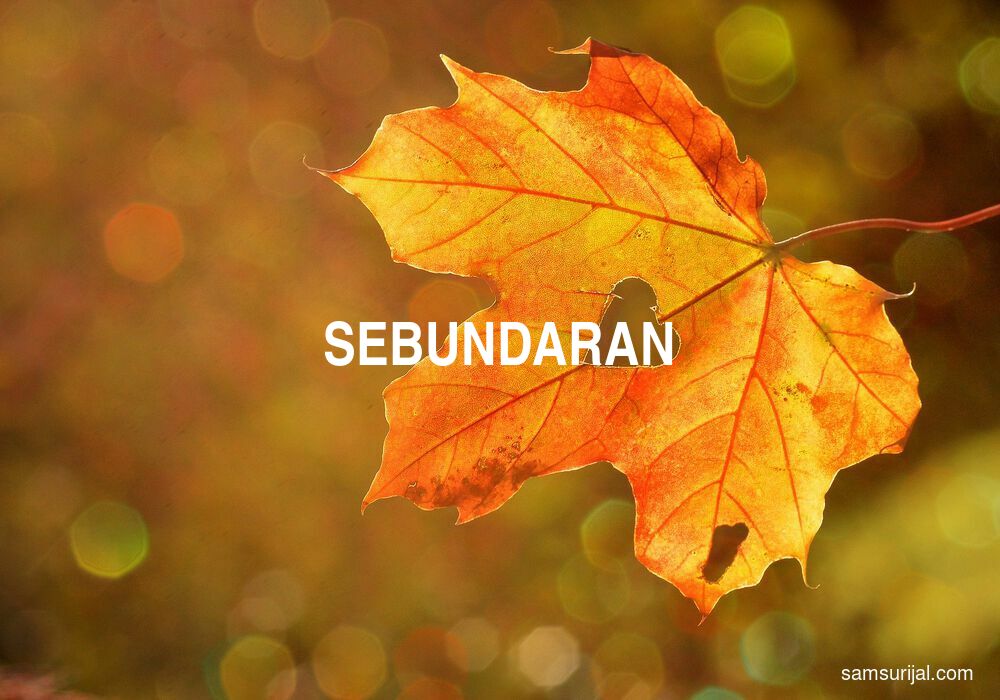 Arti Sebundaran