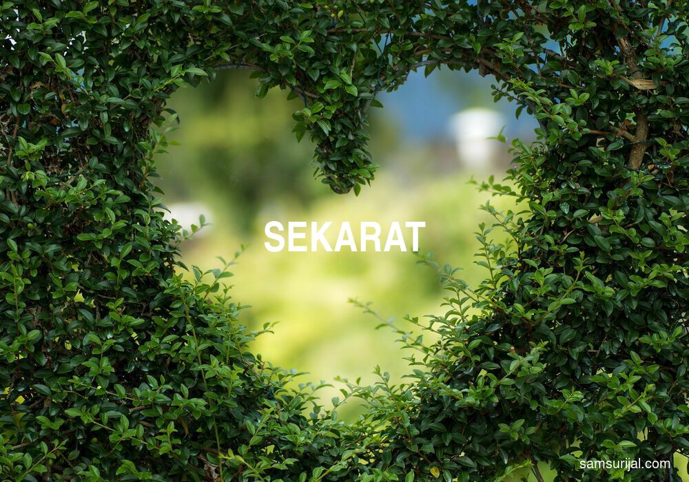 Arti Sekarat