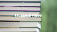 Sel Darah Merah