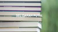 Sel Darah Putih