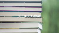 Sel Kecambah